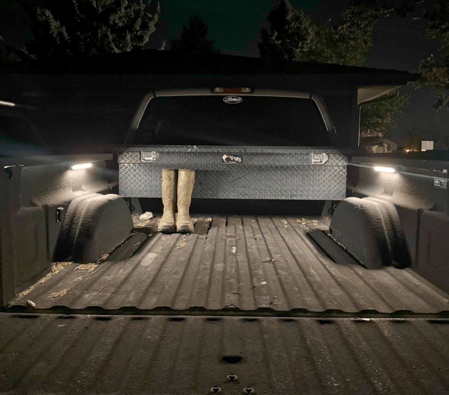 Kingpin V-Series 12